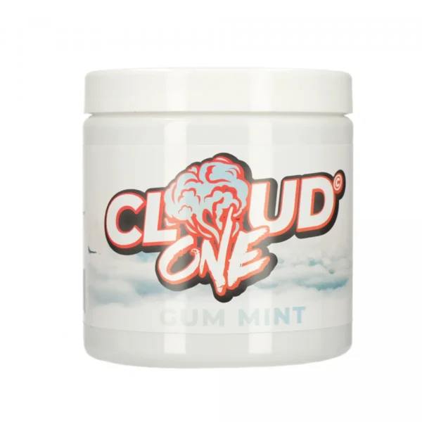 cloud one gum mint 200g 1.webp